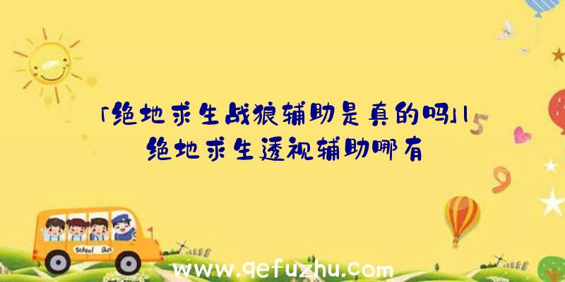 「绝地求生战狼辅助是真的吗」|绝地求生透视辅助哪有